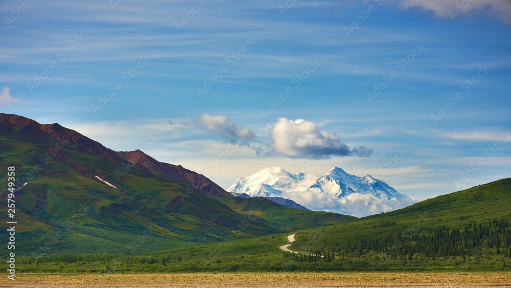 Obraz premium With its huge mountains and surrounded by a wonderful biodiversity lies the Denali National Park and Preserve. Touristic route and cloud sky. Landscape, fine art. Parks Hwy, Alaska, EUA: July 28, 2018