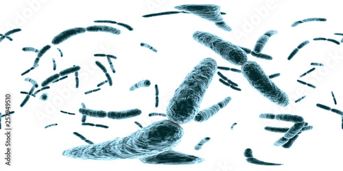 360-degree VR spherical panorama of bacteria Lactobacillus, 3D illustration. Normal flora of small intestine, lactic acid bacteria. Probiotic bacterium photo