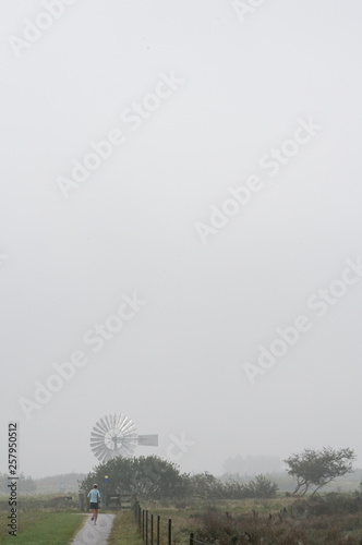 Meerwyck Kropswolde Hoogezand Groningen. Man running at Cycling path. Fog. Misty morning. Windmill. photo