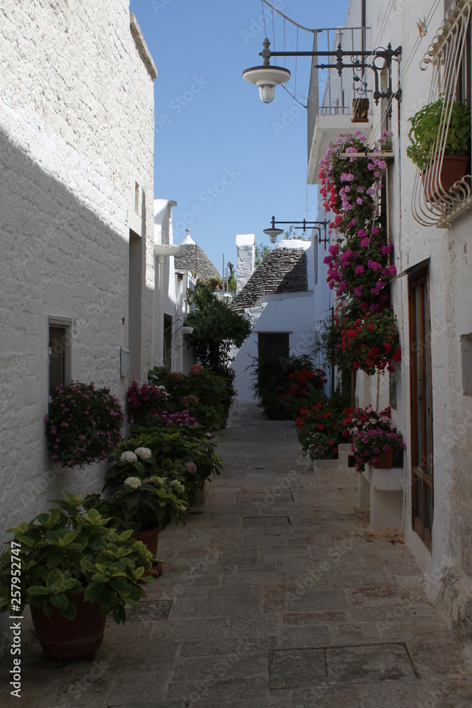 Vicolo di Alberobello Vicolo di Alberobello