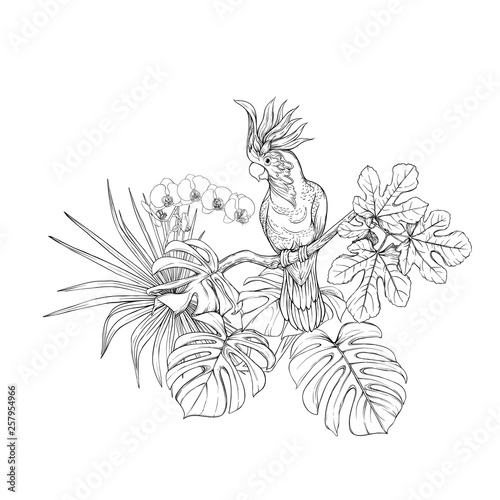 A composition of tropical plants, palm leaves