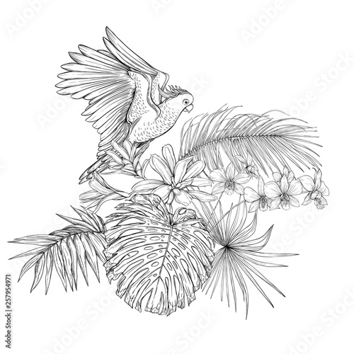 A composition of tropical plants, palm leaves