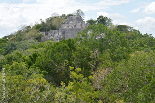 Site Archéologique de Calakmul Campeche Mexique