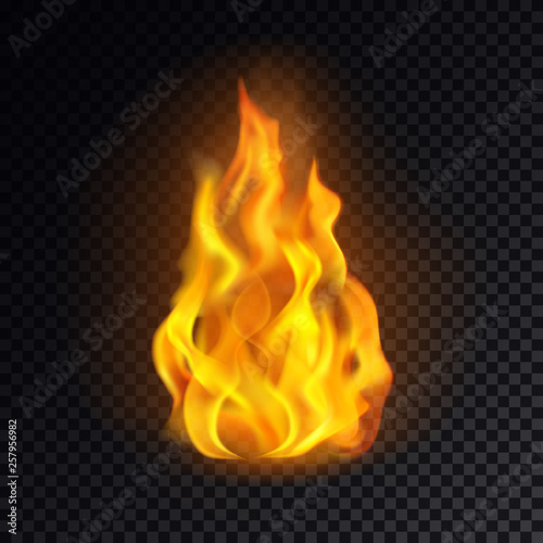 Fire isolated on transparent background.