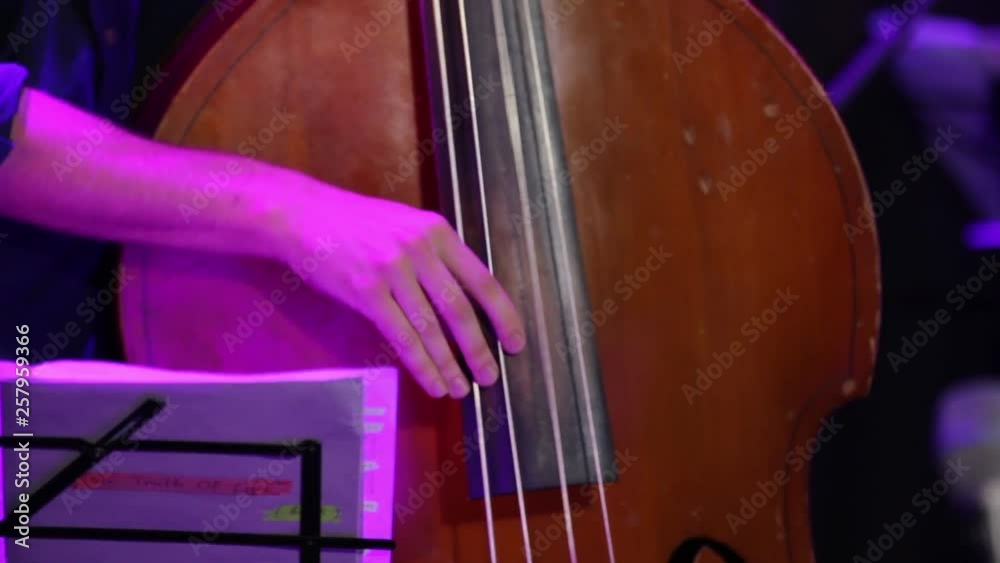 Music Book Man Play Double Bass Music Book Man Play Double Bass