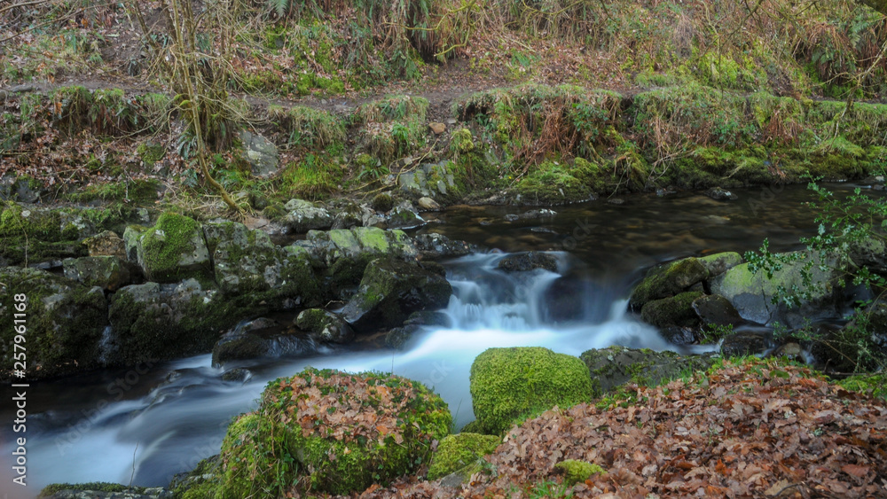 Obraz premium Waterfalls, rivers and streams in Devon taken at a slow shutter speed