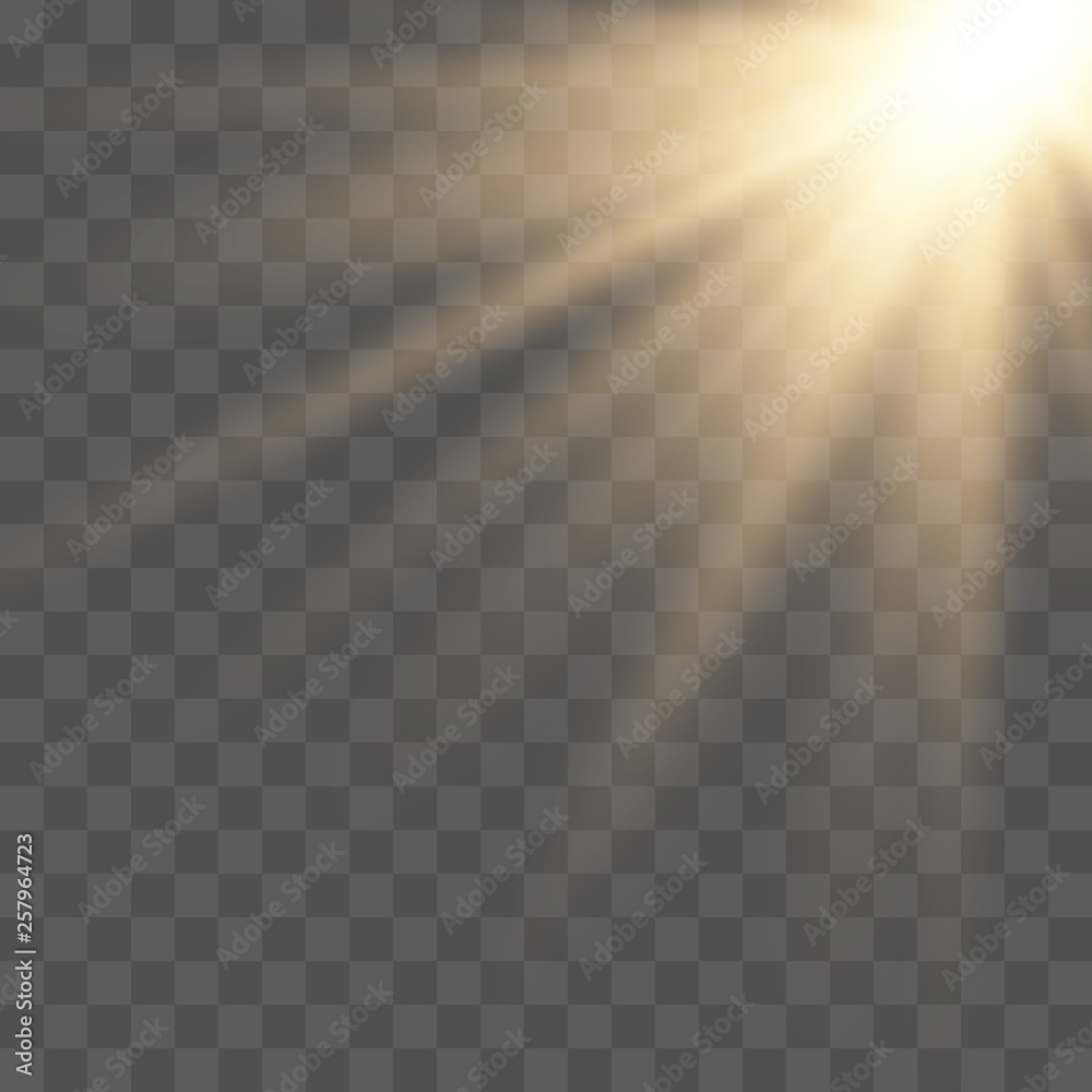 Fototapeta premium Sunlight lens flare