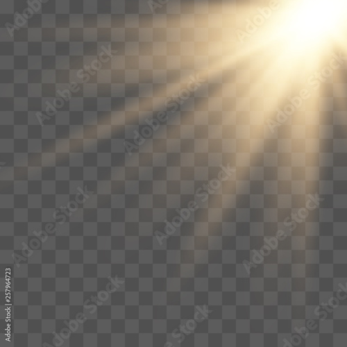 Sunlight lens flare