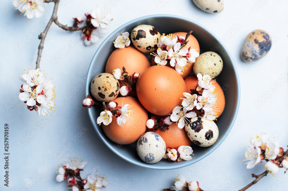 Obraz premium Eggs and Branches in Blossom, Easter Holiday Background