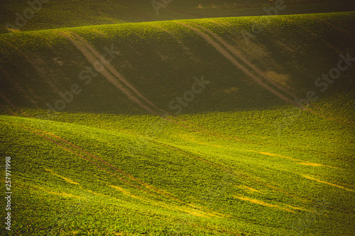 Wavy autumn fields in Moravian Tuscany, Czech Republic © Pavel Rezac