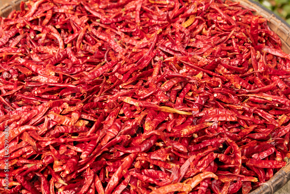 Fototapeta premium chilli cayenne pepper
