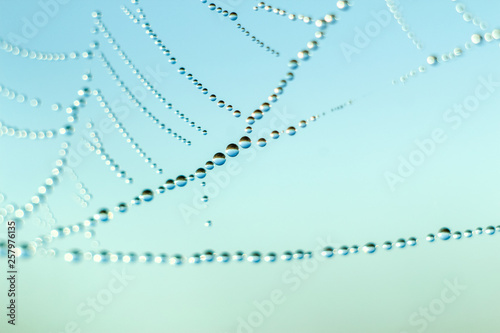 Close-up of abstract drops on a spider web with variable focus and blurred background in the rays of the rising sun. Blur and soft focus.
