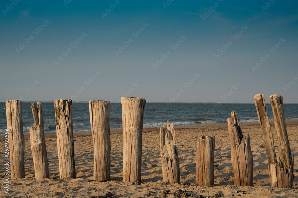 row breakwaters on the beach of Cadzand Bad, The Netherlands row breakwaters on the beach of Cadzand Bad, The Netherlands