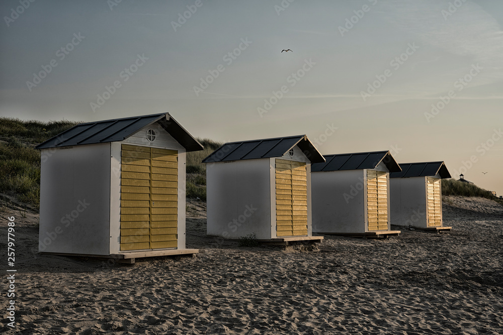 white yellow beach houses in the dunes of Cadzand Bad, The Netherlands. Banner