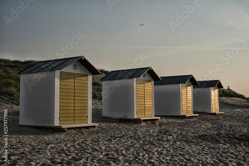 white yellow beach houses in the dunes of Cadzand Bad, The Netherlands. Banner © Corinne