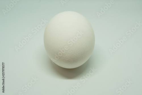 white chicken egg isolated on white background