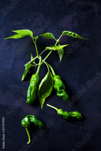 Green peppers on dark background photo