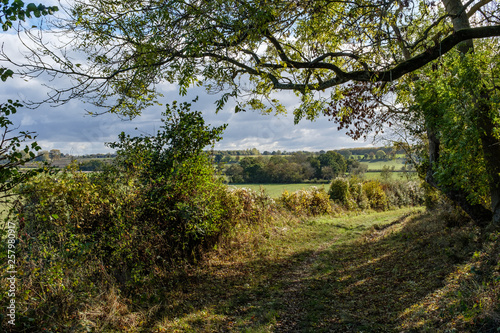 A country footpath. The grassy path runs between trees, with open countryside visible in the distance.