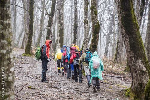 group of hikers in forest