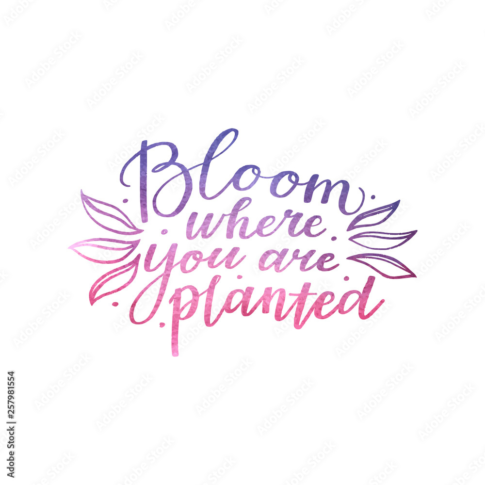 Bloom where you are planted - motivational, inspirational quote, hand-written text, lettering with watercolor texture, vector illustration isolated on white background