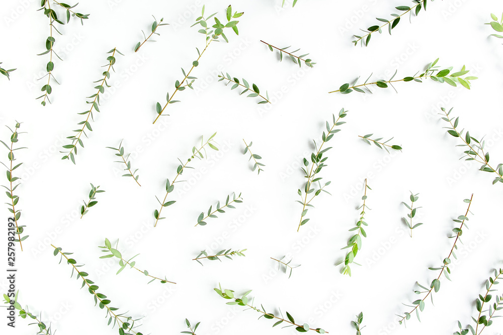 Obraz premium Texture, pattern made of branch eucalyptus on white background. Flat lay, top view.