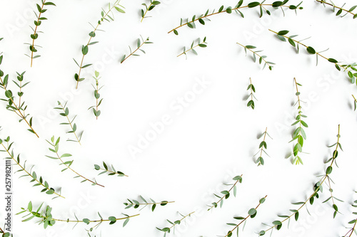 Round frame workspace with green branches and leaves eucalyptus isolated on white background. lay flat, top view