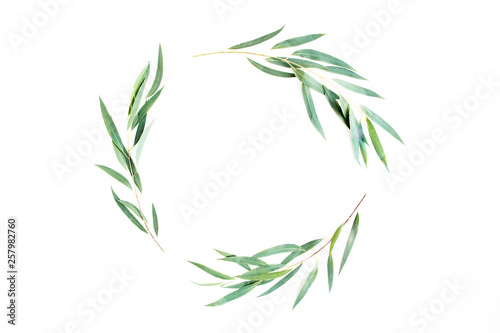 wreath frame made of branches eucalyptus isolated on white background. lay flat  top view