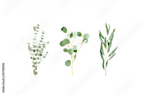 Mix of herbs green branches  leaves eucalyptus and plants collection on white background. flat lay  top view