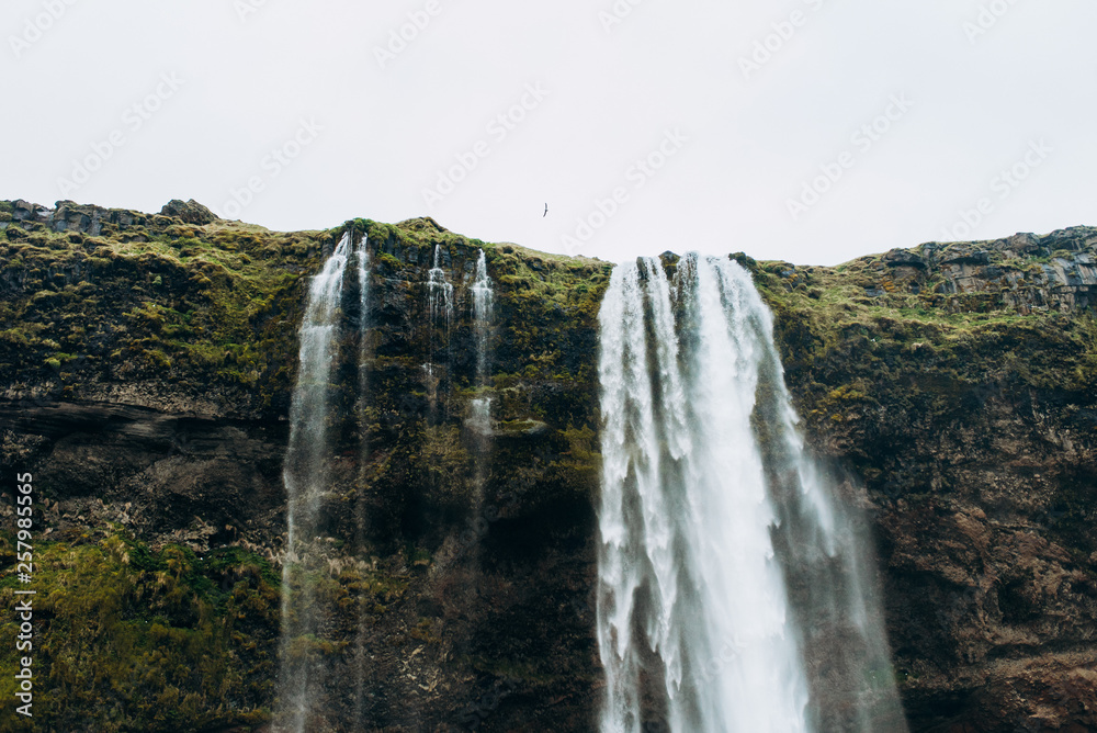Waterfall in Iceland. Waterfall in the green field.