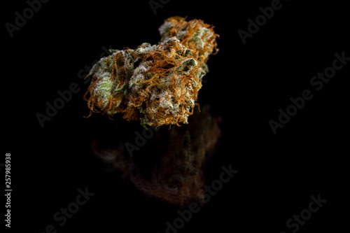 beautiful marijuana close up