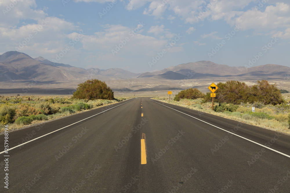 Road in desert