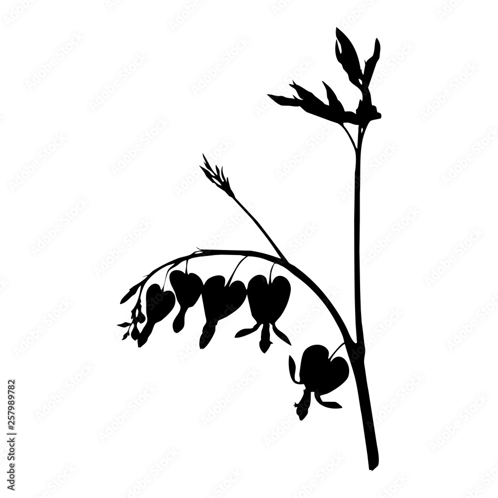 Plantas