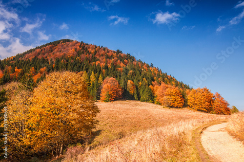 Autumn landscape in The Mala Fatra national park  Slovakia  Europe.