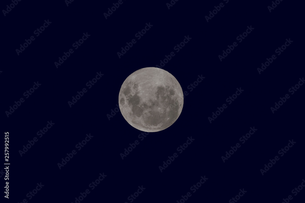 Obraz premium Blood moon, eclipse seen from, La Pampa,January 21, 2019 Argentina