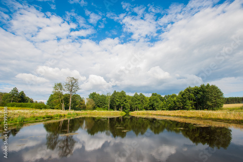 Beautiful still lake with trees on the horizon and white puffy clouds in the sky. Peaceful summer day at the cottage. Large green trees on a lake