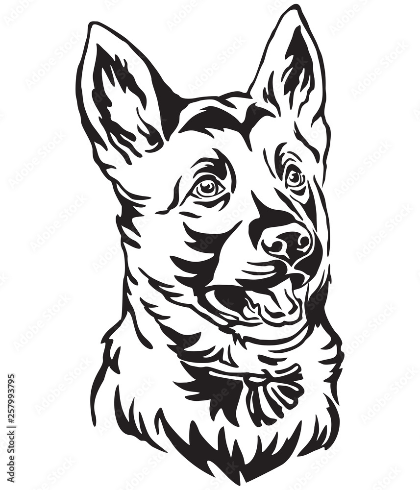 Decorative portrait of puppy German Shepherd Dog vector illustration Decorative portrait of puppy German Shepherd Dog vector illustration