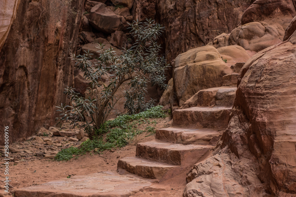 Obraz premium small stairway object carved in rock sand stones in Red Canyon world famous heritage touristic Israel site for hiking sightseeing and climbing 