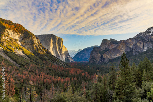 Yosemite National Park Scenic View