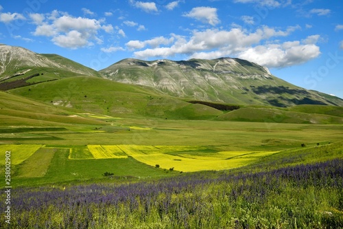 Monte Vettore, Monti Sibillini National Park, Perugia Province, Umbria, Italy, Europe photo