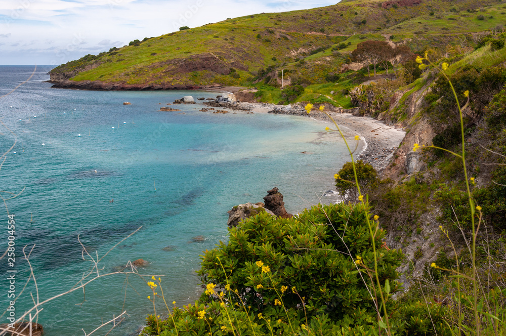 Obraz premium Santa Catalina Island Two Harbors