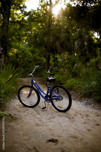 Bike sitting on island beach trail 