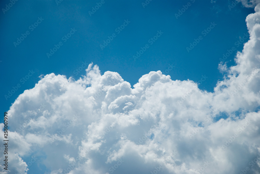 夏の雲 夏の雲
