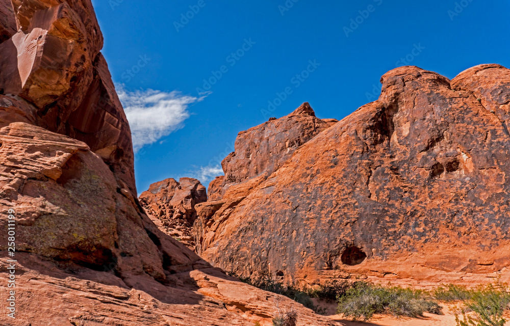 Obraz premium Scenic landscape view in the Valley of Fire State Park.