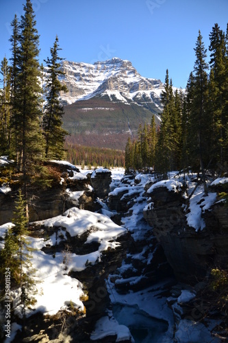 Athabasca Falls in Winter