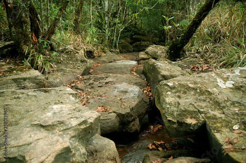 rocks in the wild, sako Moss