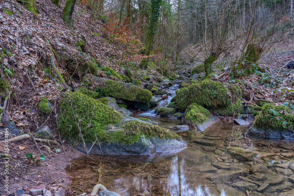 Small torrent in the forest with moss-covered rocks Small torrent in the forest with moss-covered rocks