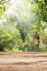 Empty wooden and blurred green nature garden background.
