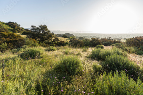 San Fernando Valley spring ...