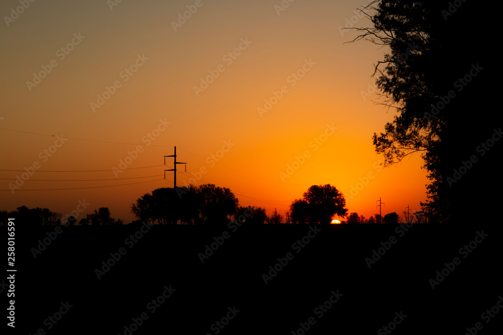 Fototapeta premium Sunset in the park