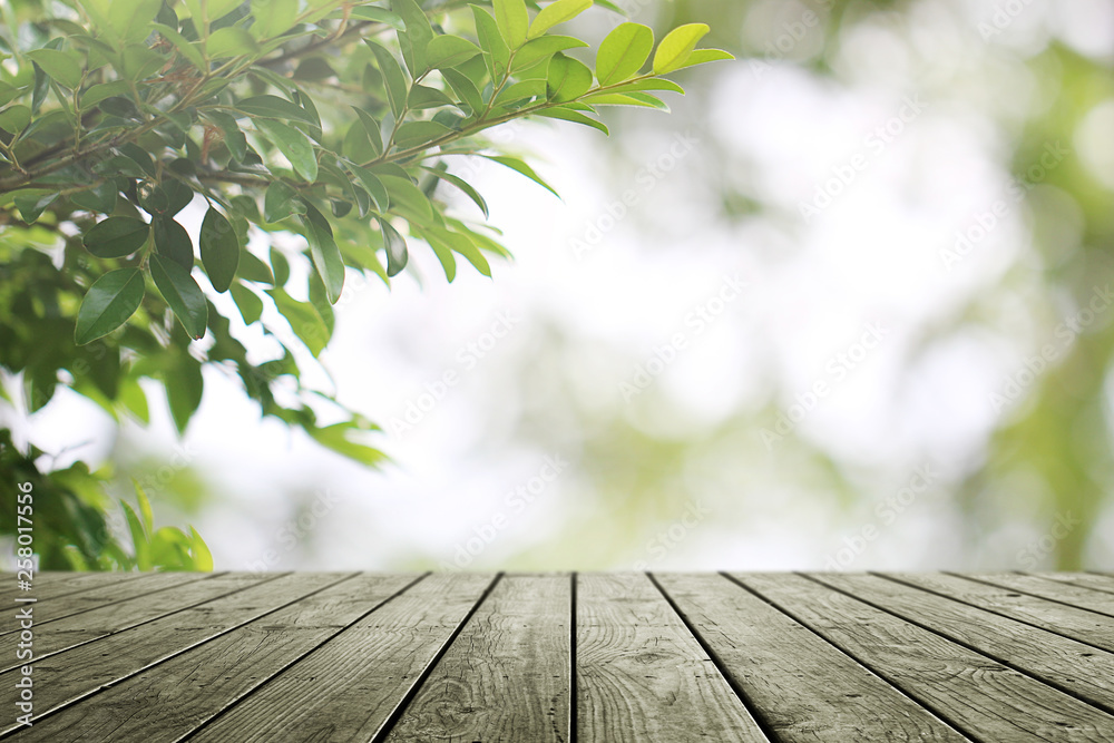 Empty wooden and blurred green nature garden background.